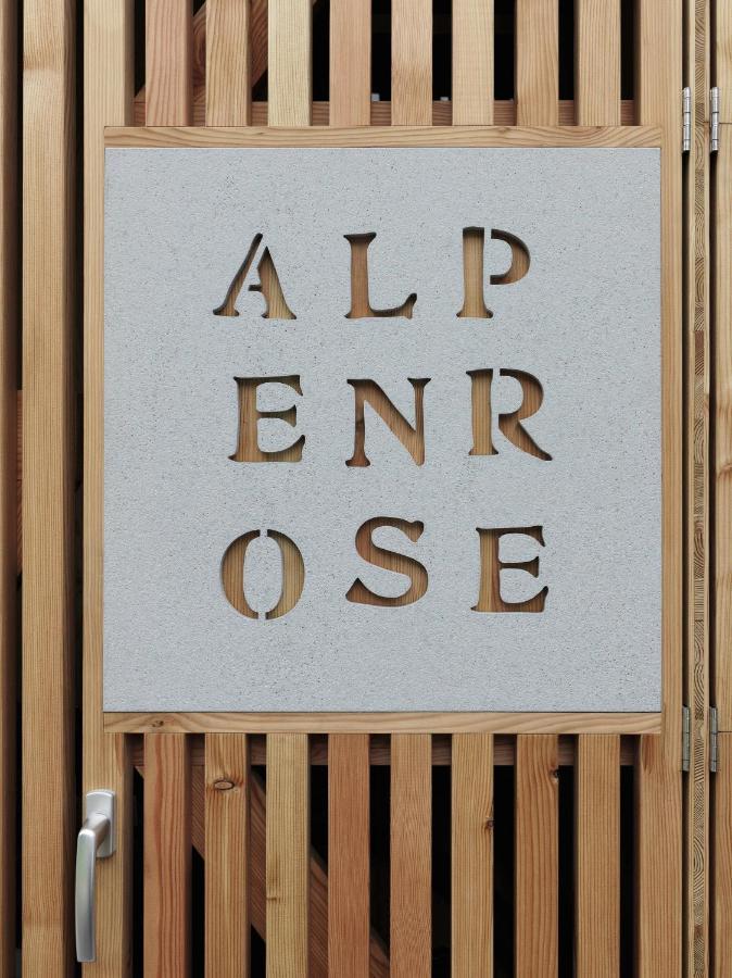 Alpenrose Boutique Chalet Gretl Ramsau am Dachstein Kültér fotó