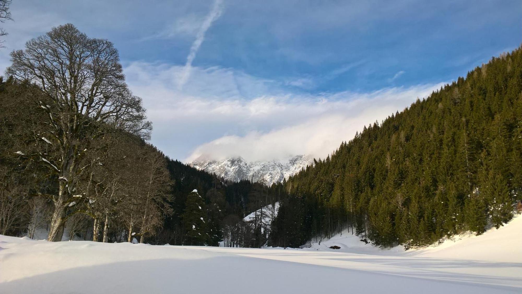 Alpenrose Boutique Chalet Gretl Ramsau am Dachstein Kültér fotó