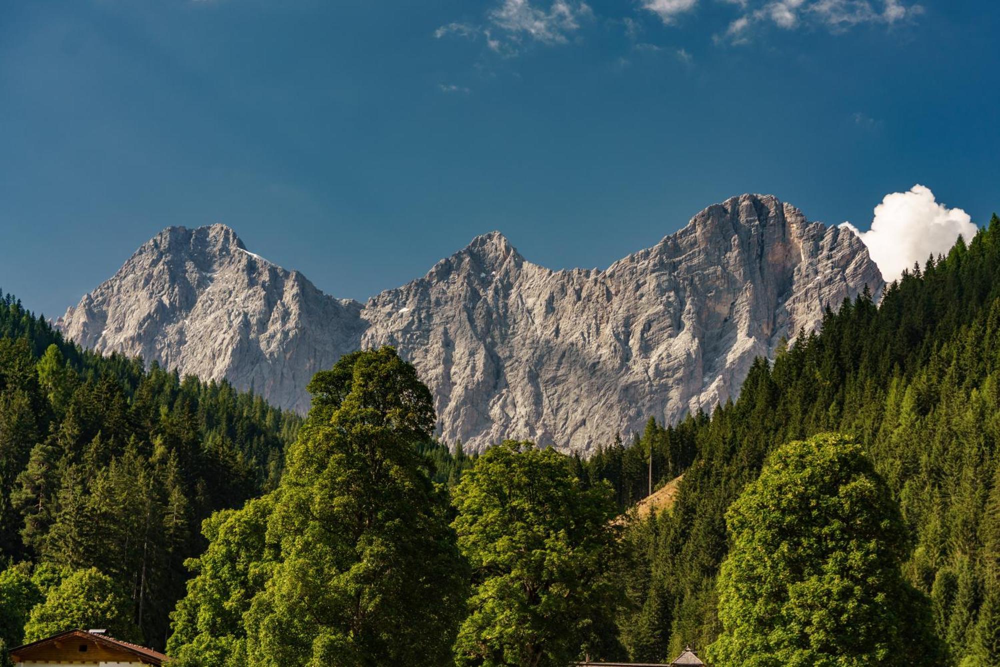 Alpenrose Boutique Chalet Gretl Ramsau am Dachstein Kültér fotó