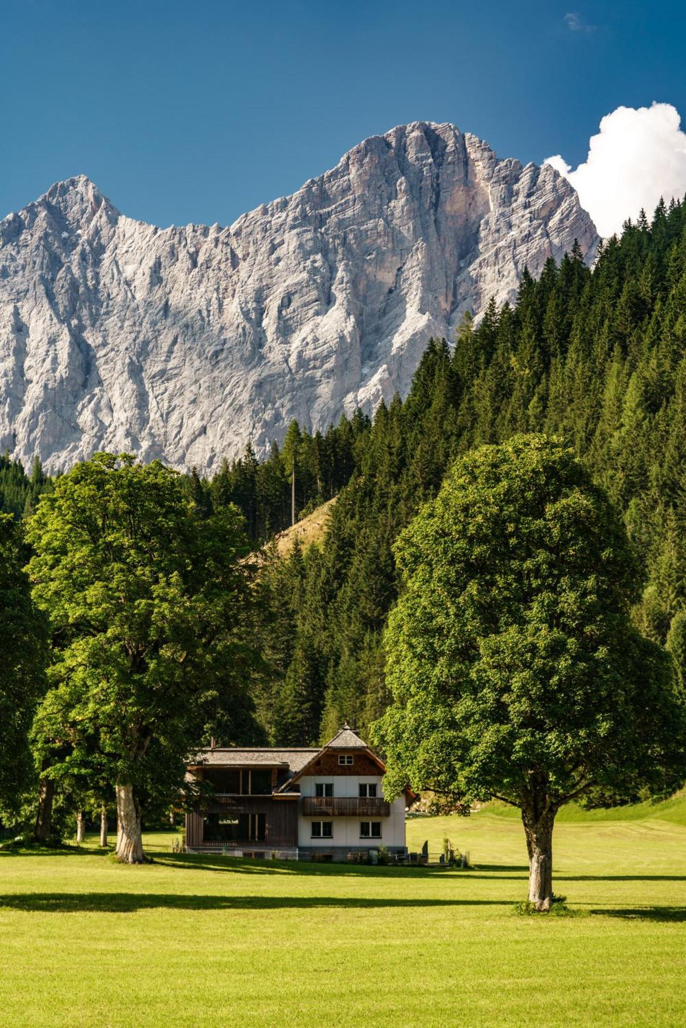 Alpenrose Boutique Chalet Gretl Ramsau am Dachstein Kültér fotó